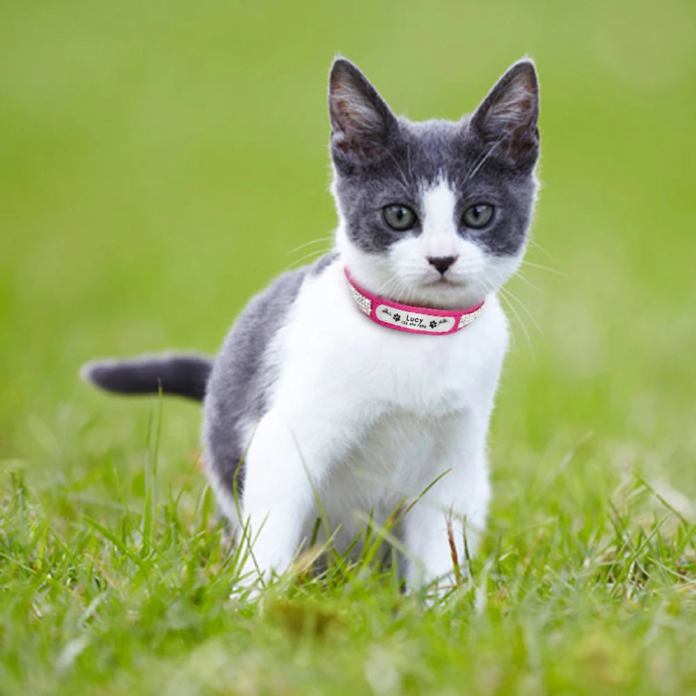 Leather Cat Collar