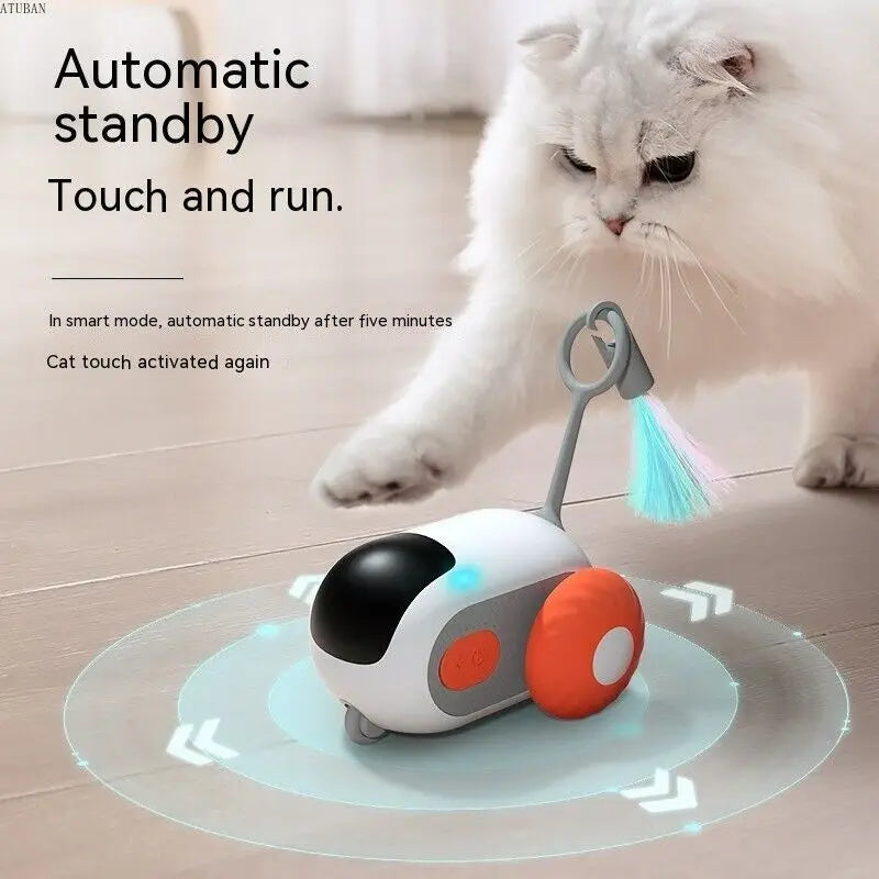 Active Rolling Car for Indoor Cats/Kitten Small Dogs